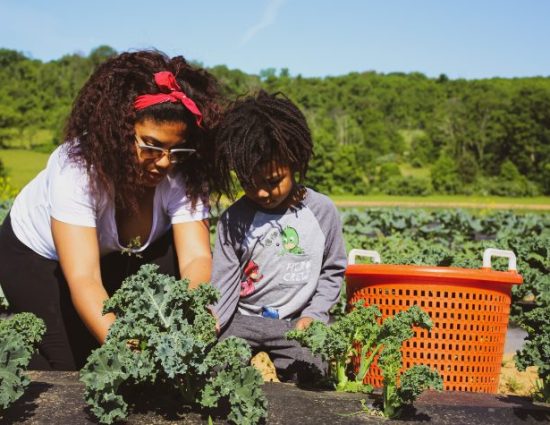 Mother and son harvesting vegetables at farm