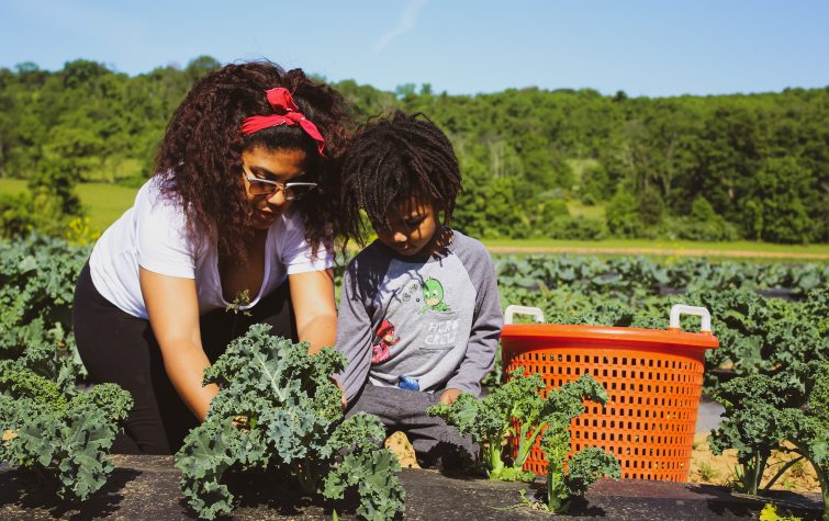 Mother and son harvesting vegetables at farm