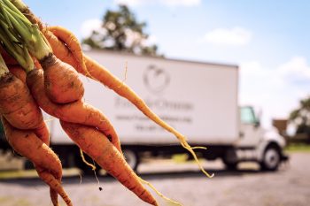 Carrots being donated from the JK Farm