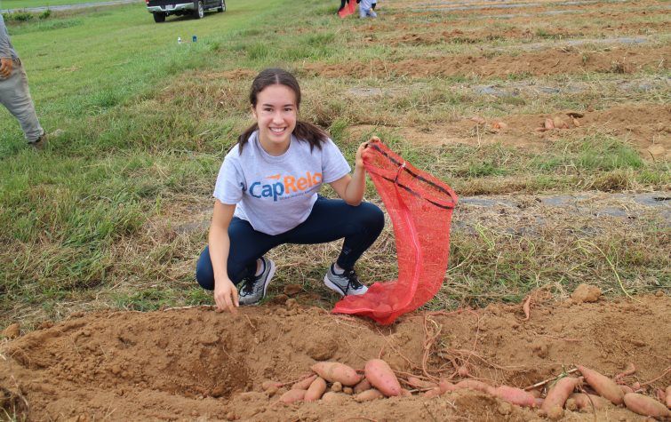 Young woman wearing CapRelo tshirt harvesting sweet potatoes at the Community Farm