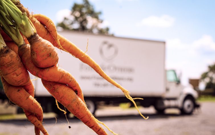 Carrots being donated from the JK Farm