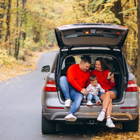 Family with a little son in autumn park sitting in car